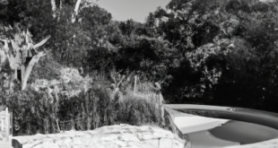 Creating Luxurious Outdoor Living Spaces: From Infinity Pools to Outdoor Theaters for Ultimate Relaxation and Entertainment