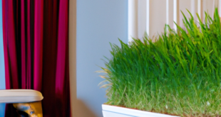 7 Ways to Use Turf in a Rental: Enhancing Your Home’s Aesthetic, Profits, and Curb Appeal