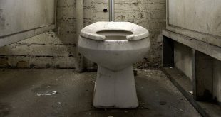 121840873 schoolloos2