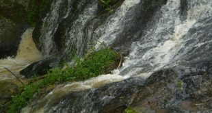 Ndokhwe stream where the dead body was found dumped e1699088800885 780x470 1