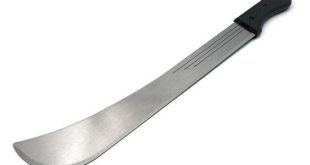 Panga
