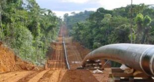 eacop pipeline prince story