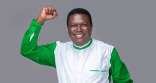 Norbert mao