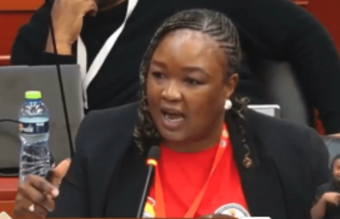 South African member of parliament Zandile Majozi tells the anti-LGBTQ conference that her nation rejects the human rights violations contained in the proposed anti-LGBTQ+ African charter.
